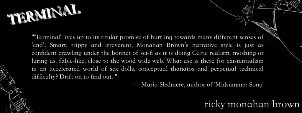 "Terminal lives up to its titular promise of hurtling towards many different senses of ‘end’. Smart, trippy and irreverent, Monahan Brown’s narrative style is just as confident crawling under the bonnet of sci-fi as it is doing Celtic realism, moshing or luring us, fable-like, close to the wood wide web. What use is there for existentialism in an accelerated world of sex dolls, conceptual thanatos and perpetual technical difficulty? Drift on to find out" – Maria Sledmere, author of Midsummer Song